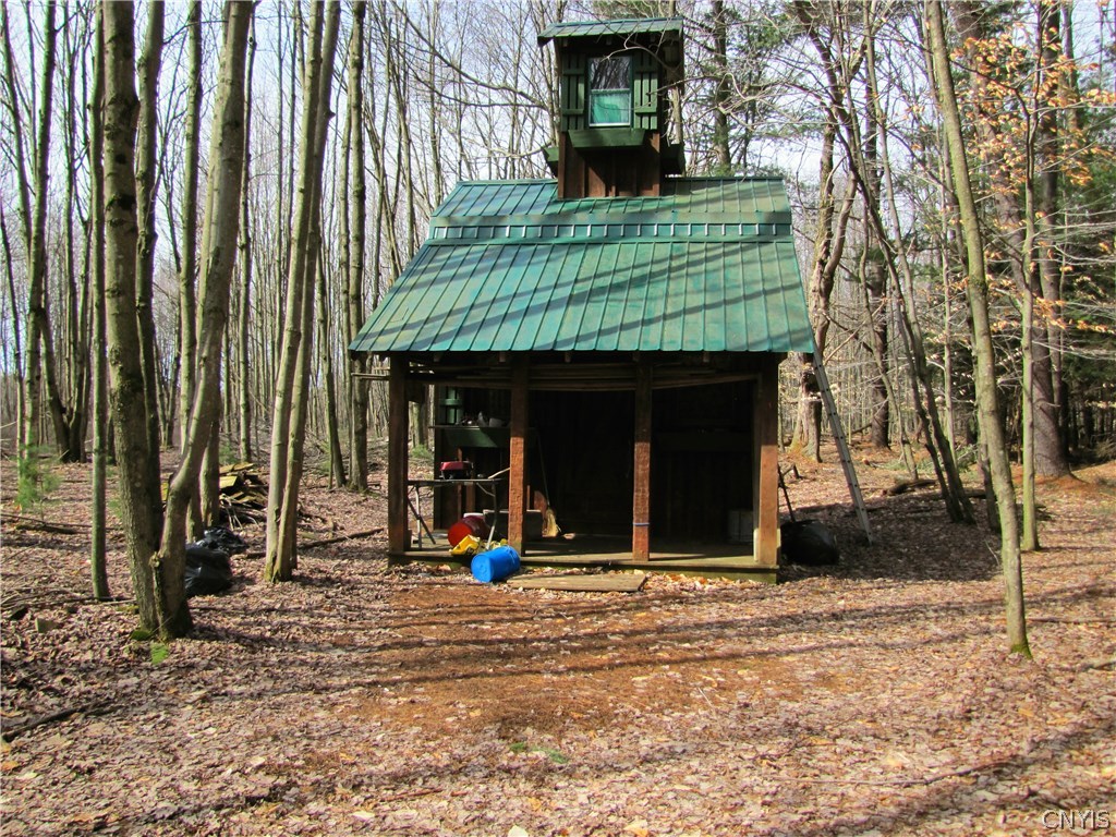 0 Scott Road Sandy Creek, NY 13145 - Photo 1 of 1 Gallery Image 1