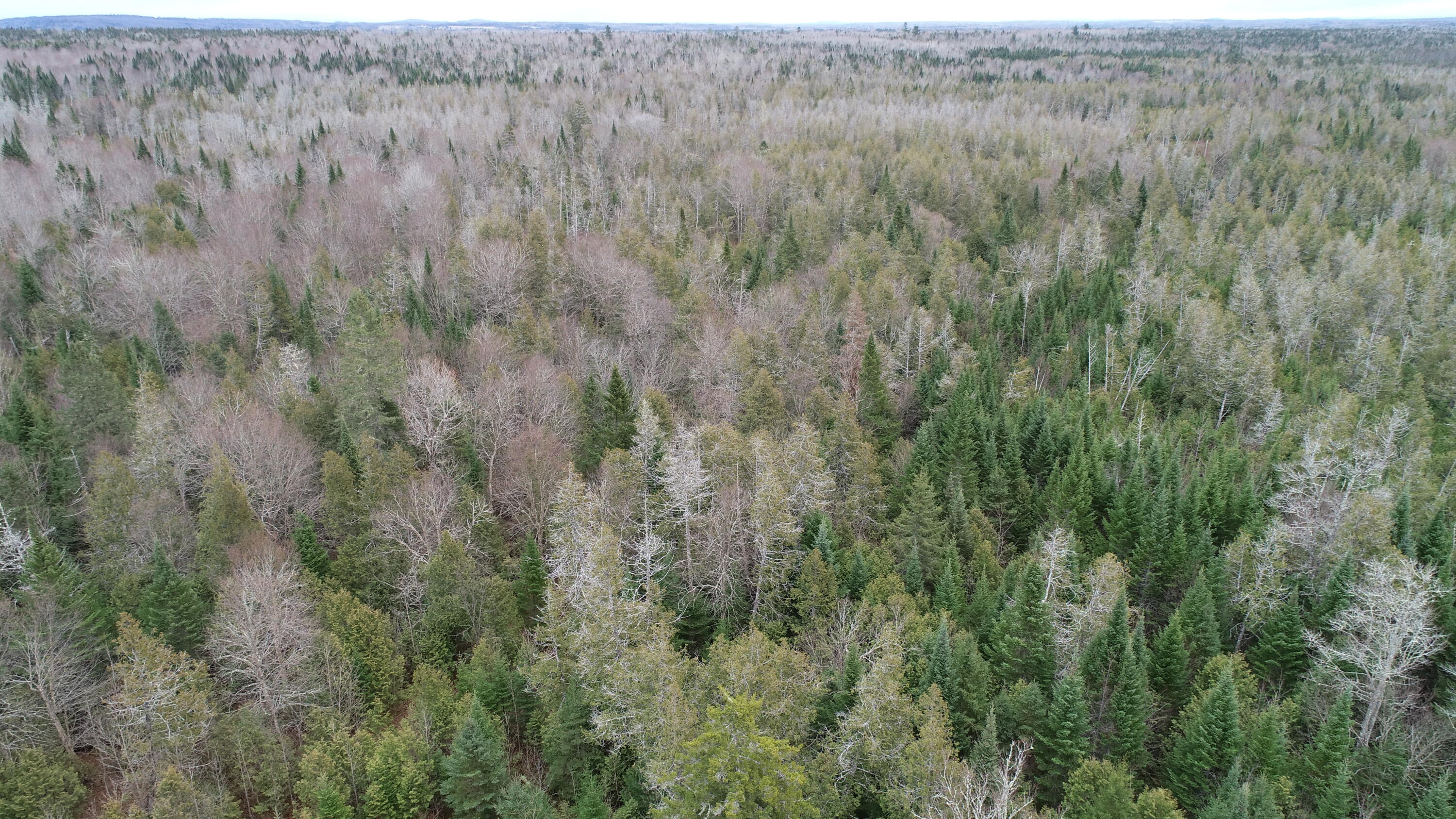 Lot 2 Off Bangor Road Houlton, ME 04730 - Photo 35 of 44 DJI_0354