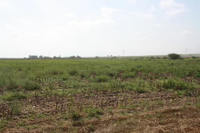 a view of a field of grass and trees