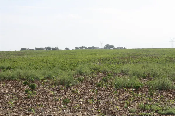 a view of a field with an ocean view