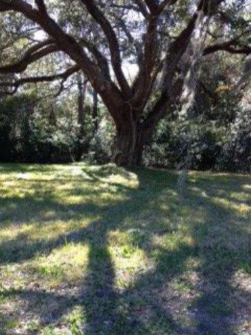 521 Arnold Road St. Simons Island, GA 31522 - Photo 1 of 1