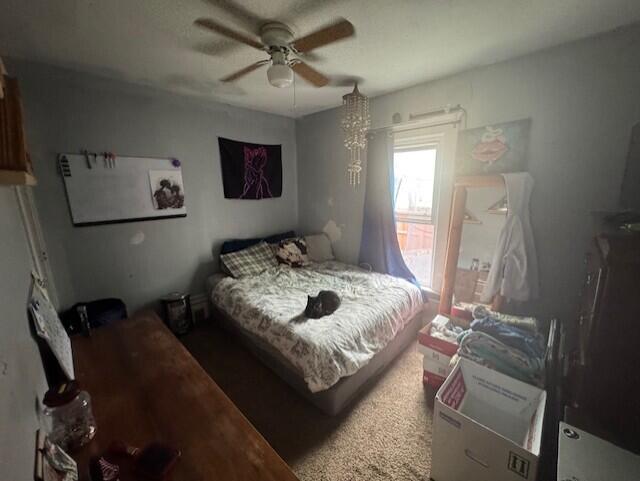 1018 5th Street Three Rivers, MI 49093 - Photo 7 of 16 5th primary bed