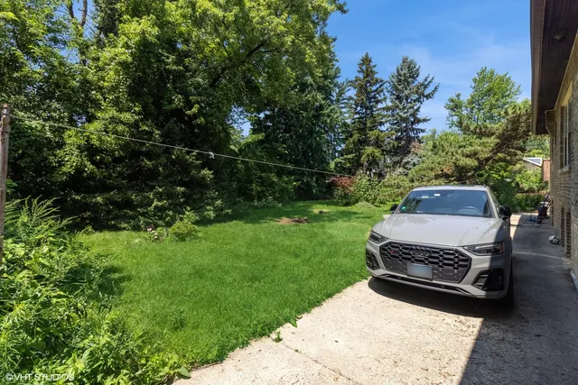 a car parked in the middle of a park