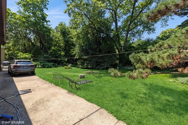a view of park with plants