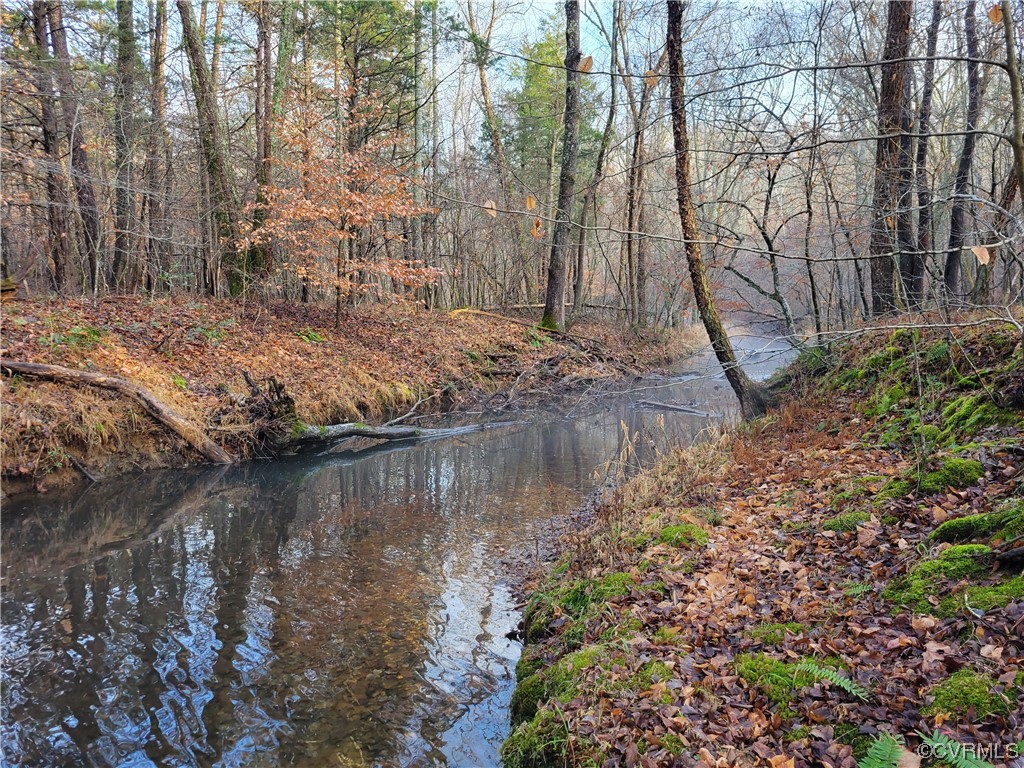0 Haden Martin Road Palmyra, VA 22963 - Photo 13 of 16 Gallery Image 13