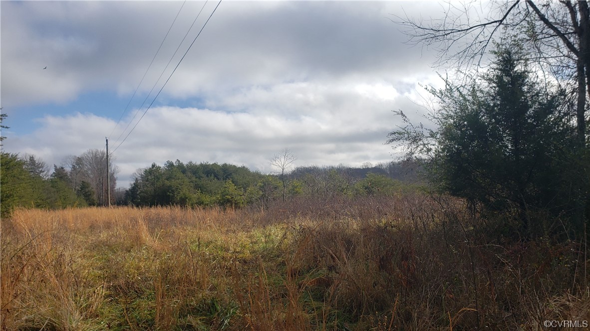 0 Haden Martin Road Palmyra, VA 22963 - Photo 14 of 16 Gallery Image 14