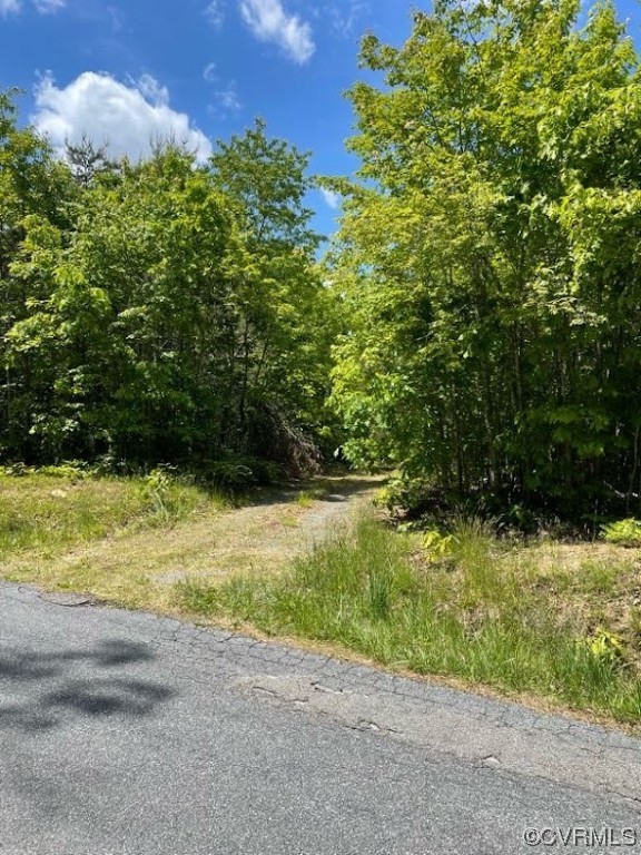 0 Haden Martin Road Palmyra, VA 22963 - Photo 15 of 16 Gallery Image 15