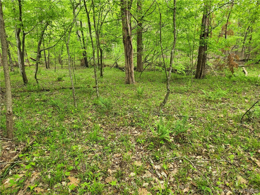 0 Haden Martin Road Palmyra, VA 22963 - Photo 16 of 16 Gallery Image 16