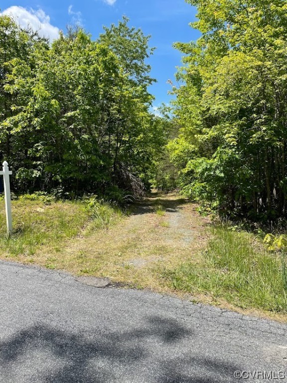 0 Haden Martin Road Palmyra, VA 22963 - Photo 2 of 16 Gallery Image 2