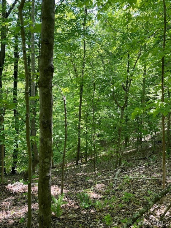 0 Haden Martin Road Palmyra, VA 22963 - Photo 7 of 16 Gallery Image 7