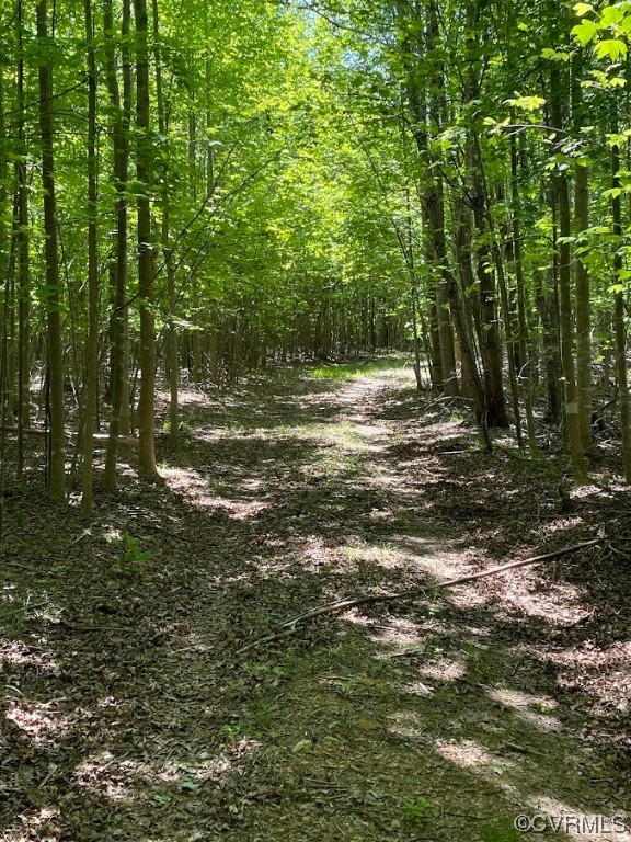 0 Haden Martin Road Palmyra, VA 22963 - Photo 8 of 16 Gallery Image 8