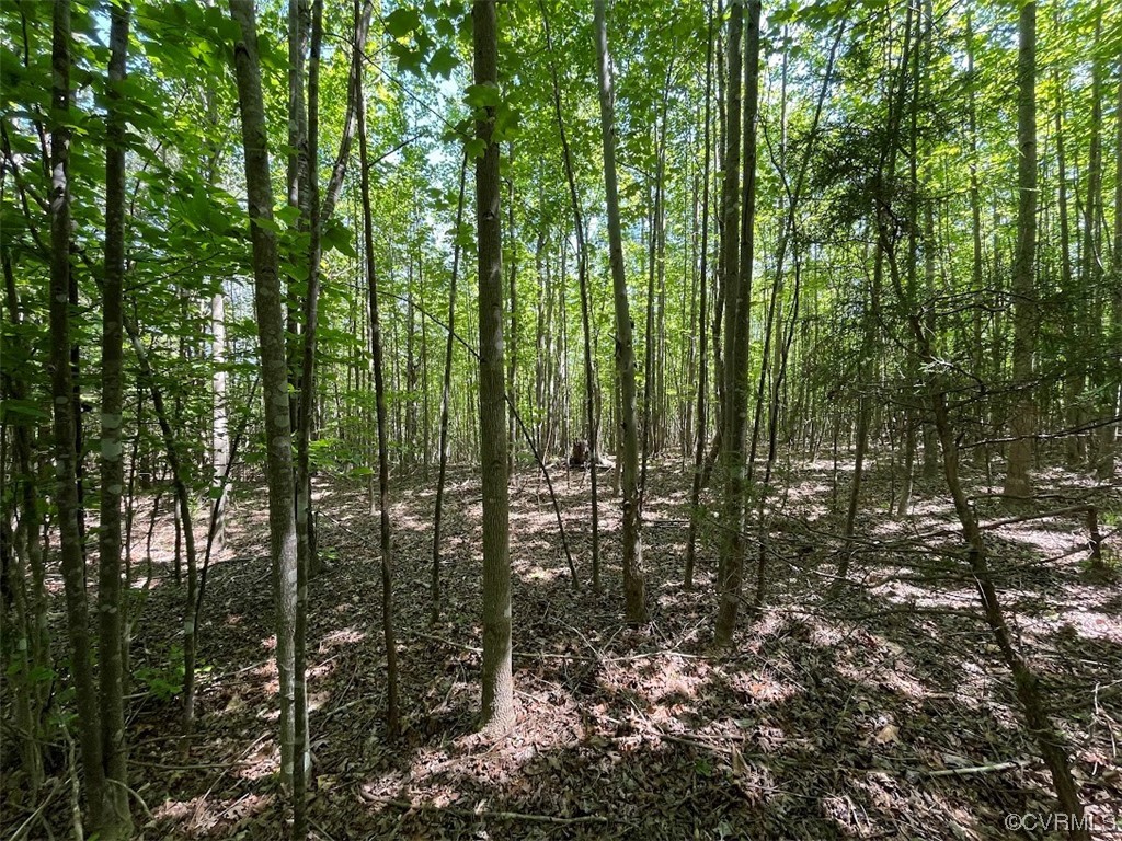 0 Haden Martin Road Palmyra, VA 22963 - Photo 10 of 16 Gallery Image 10