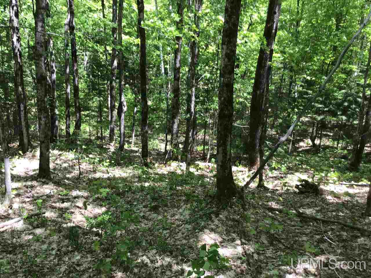 Tbd Co Rd 496 (a) Road, Unit PARCEL A Champion, MI 49814 - Photo 7 of 21 Gallery Image 7