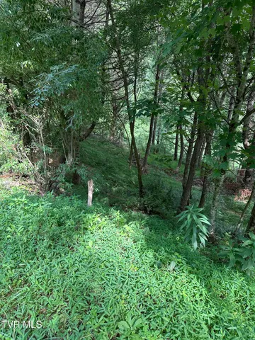 $39,900 | Lot 9 Laurelwood Ln Mountain, Unit 9, Mountain City, TN 37683
