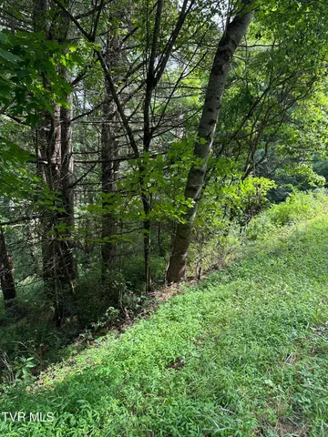 $39,900 | Lot 9 Laurelwood Ln Mountain, Unit 9, Mountain City, TN 37683