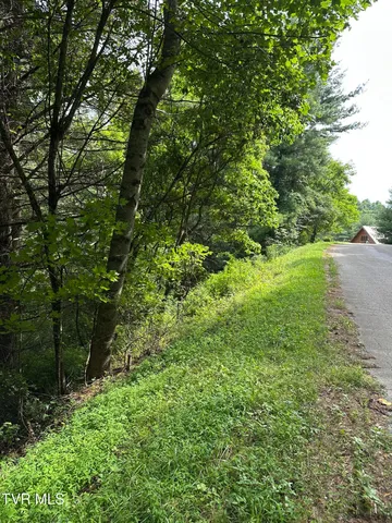 $39,900 | Lot 9 Laurelwood Ln Mountain, Unit 9, Mountain City, TN 37683