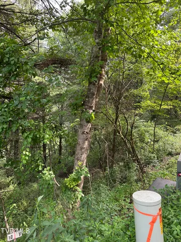 $39,900 | Lot 9 Laurelwood Ln Mountain, Unit 9, Mountain City, TN 37683