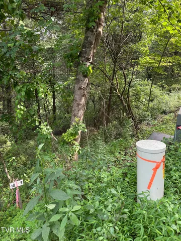 $39,900 | Lot 9 Laurelwood Ln Mountain, Unit 9, Mountain City, TN 37683