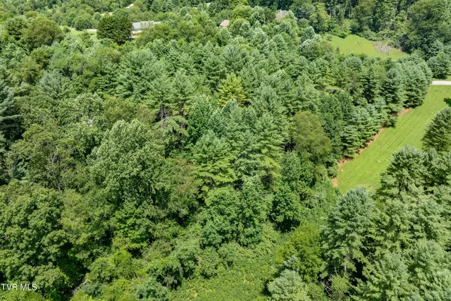 $39,900 | Lot 9 Laurelwood Ln Mountain, Unit 9, Mountain City, TN 37683