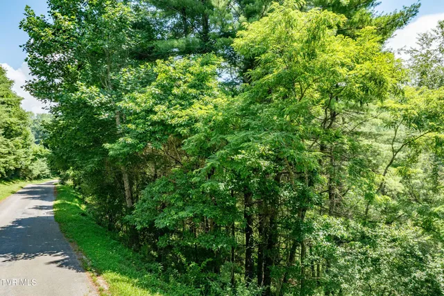 $39,900 | Lot 9 Laurelwood Ln Mountain, Unit 9, Mountain City, TN 37683