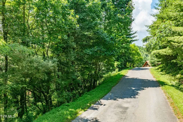 $39,900 | Lot 9 Laurelwood Ln Mountain, Unit 9, Mountain City, TN 37683
