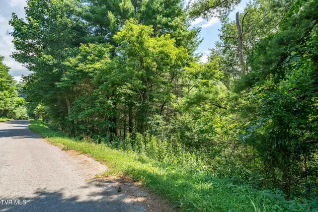 $39,900 | Lot 9 Laurelwood Ln Mountain, Unit 9, Mountain City, TN 37683