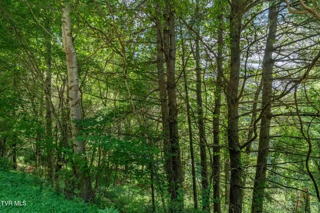 $39,900 | Lot 9 Laurelwood Ln Mountain, Unit 9, Mountain City, TN 37683