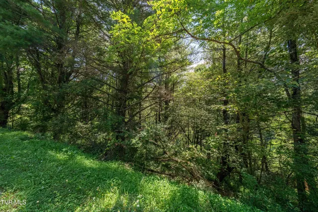 $39,900 | Lot 9 Laurelwood Ln Mountain, Unit 9, Mountain City, TN 37683
