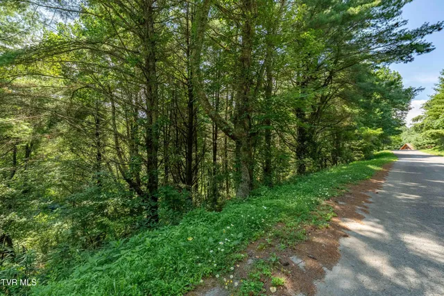 $39,900 | Lot 9 Laurelwood Ln Mountain, Unit 9, Mountain City, TN 37683