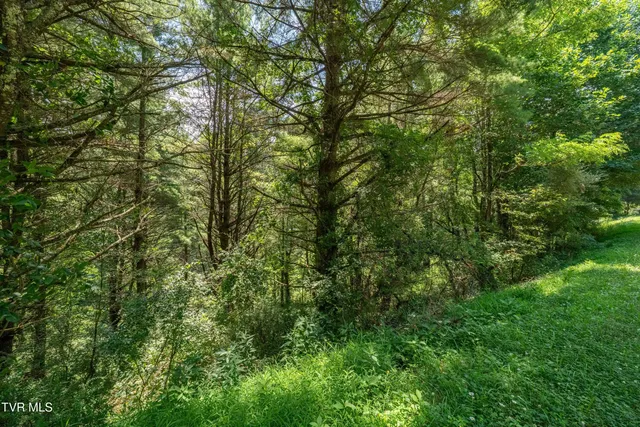 $39,900 | Lot 9 Laurelwood Ln Mountain, Unit 9, Mountain City, TN 37683