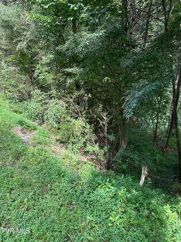 $39,900 | Lot 9 Laurelwood Ln Mountain, Unit 9, Mountain City, TN 37683