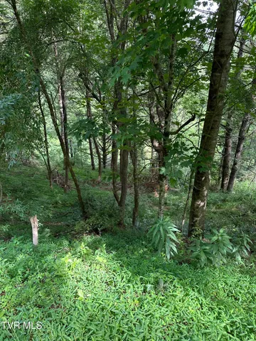 $39,900 | Lot 9 Laurelwood Ln Mountain, Unit 9, Mountain City, TN 37683