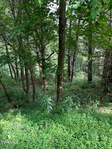 $39,900 | Lot 9 Laurelwood Ln Mountain, Unit 9, Mountain City, TN 37683