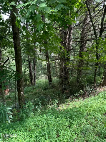 $39,900 | Lot 9 Laurelwood Ln Mountain, Unit 9, Mountain City, TN 37683
