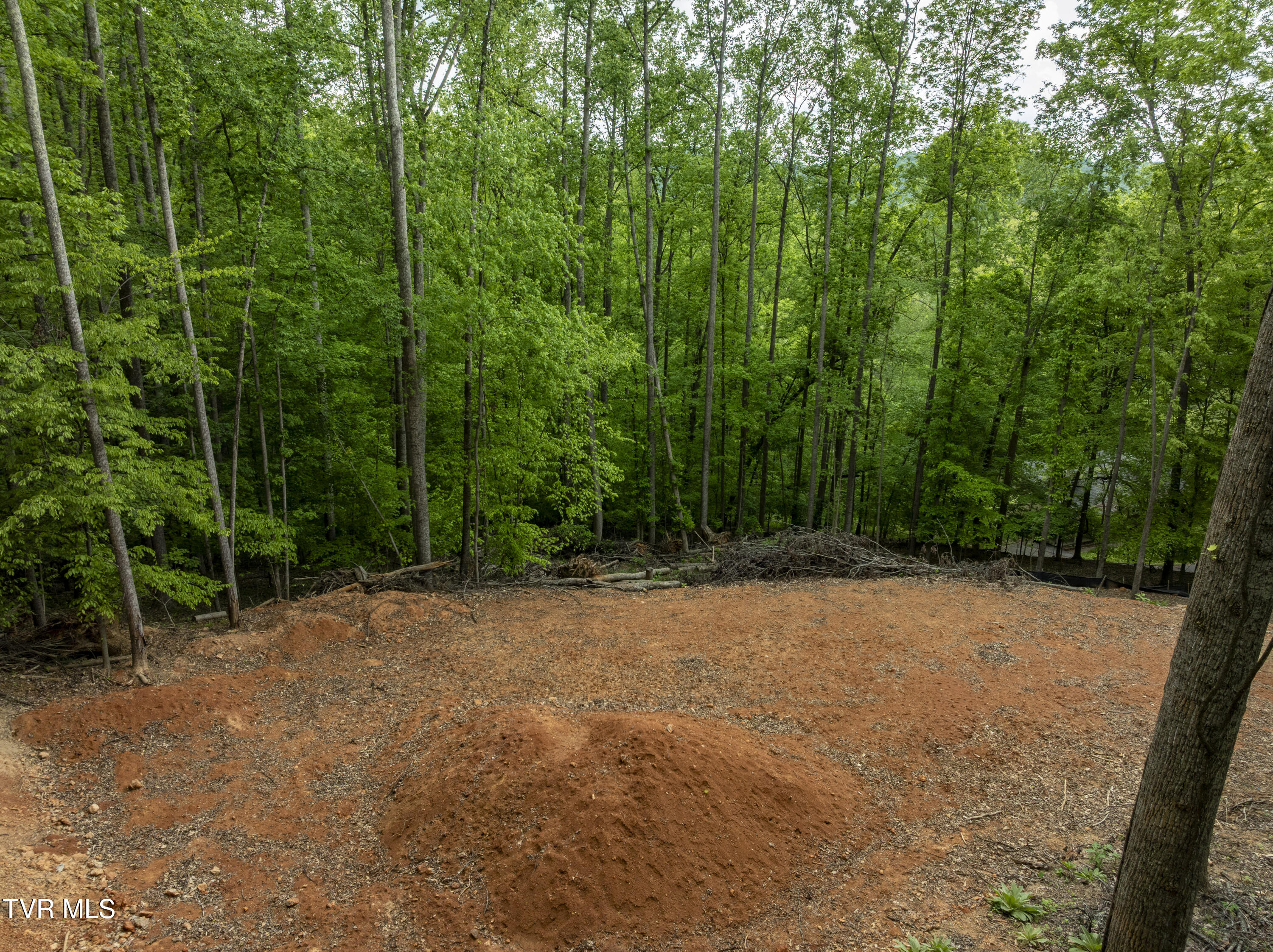 Lot 6 Briarwood Road, Unit 6 Kingsport, TN 37664 - Photo 6 of 16 Lot6Briarwood-6