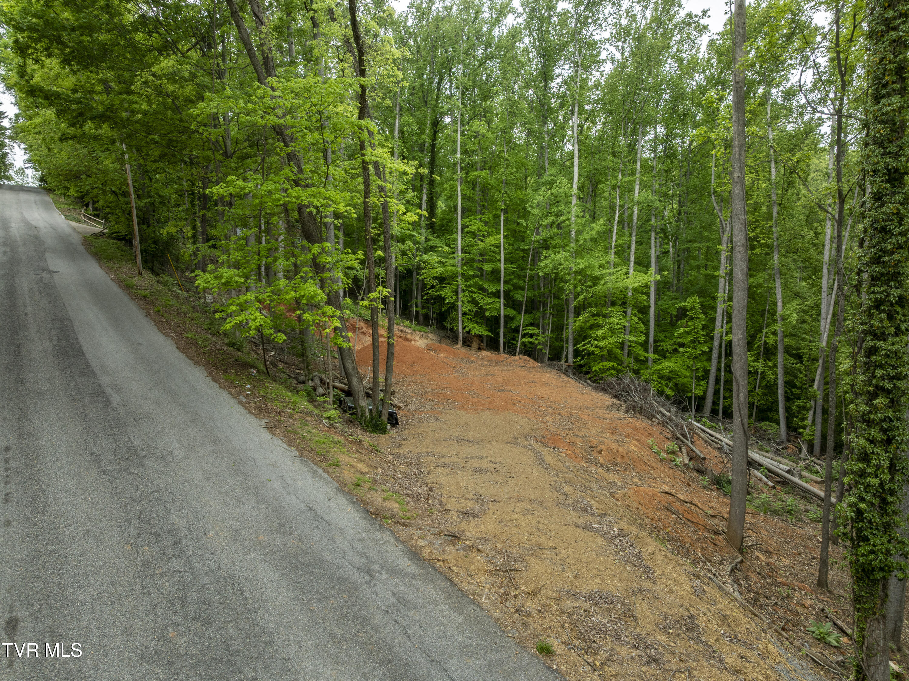 Lot 6 Briarwood Road, Unit 6 Kingsport, TN 37664 - Photo 9 of 16 Lot6Briarwood-1