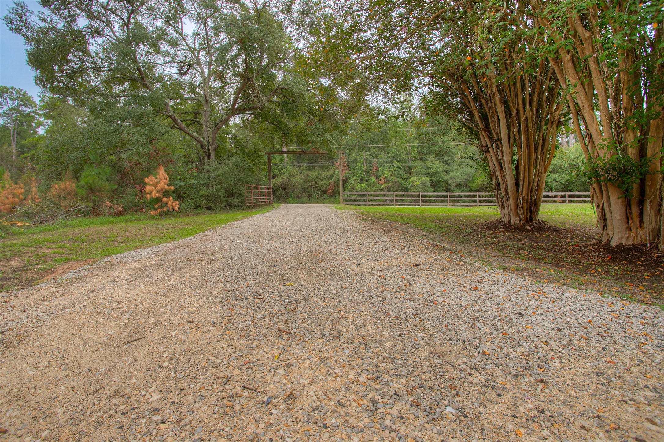 6016 Teas Nursery Road Conroe, TX 77304 - Photo 47 of 50 Gallery Image 47