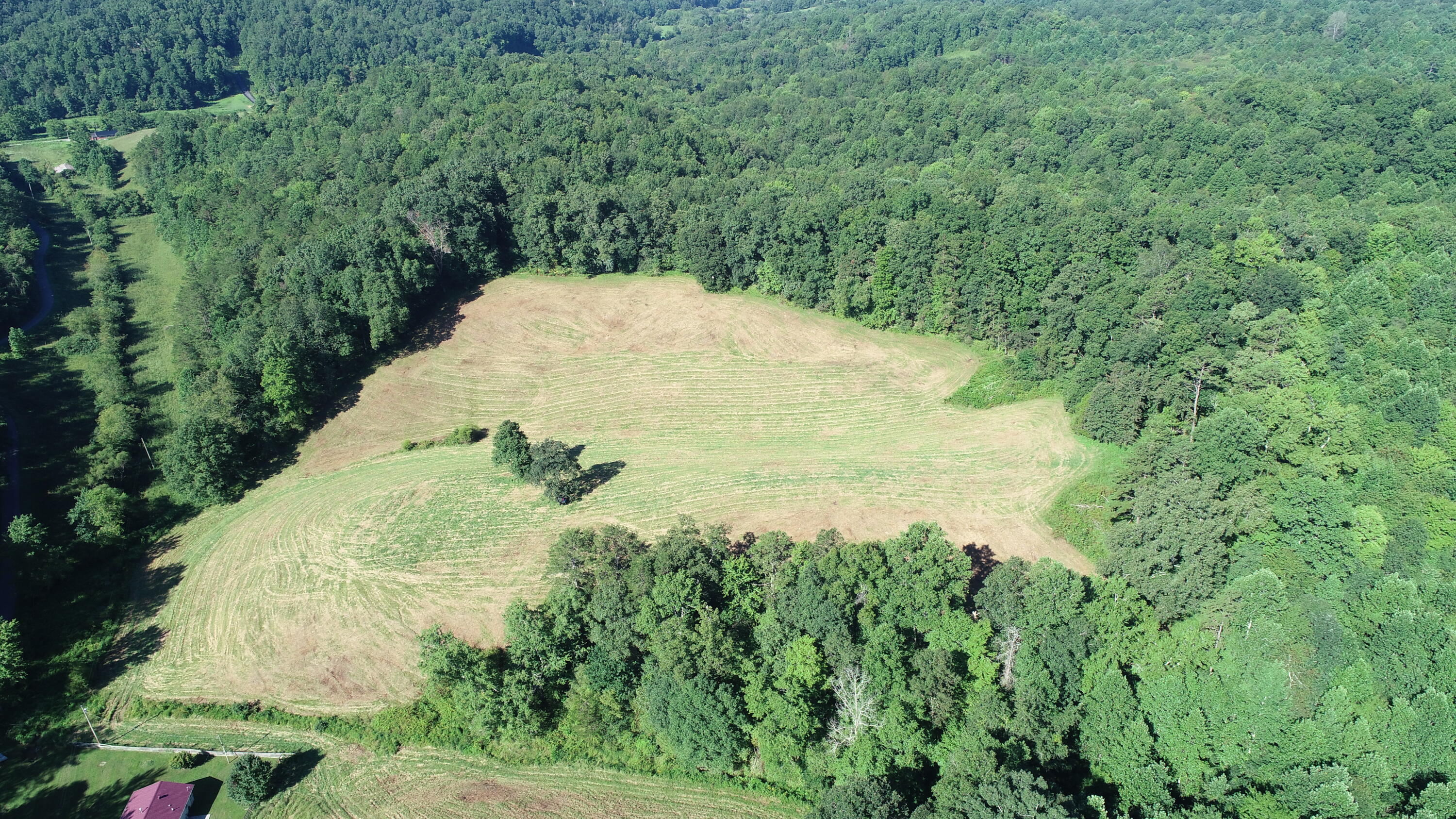 1 Langdon Branch Road Annville, KY 40402 - Photo 22 of 30 DJI_0231