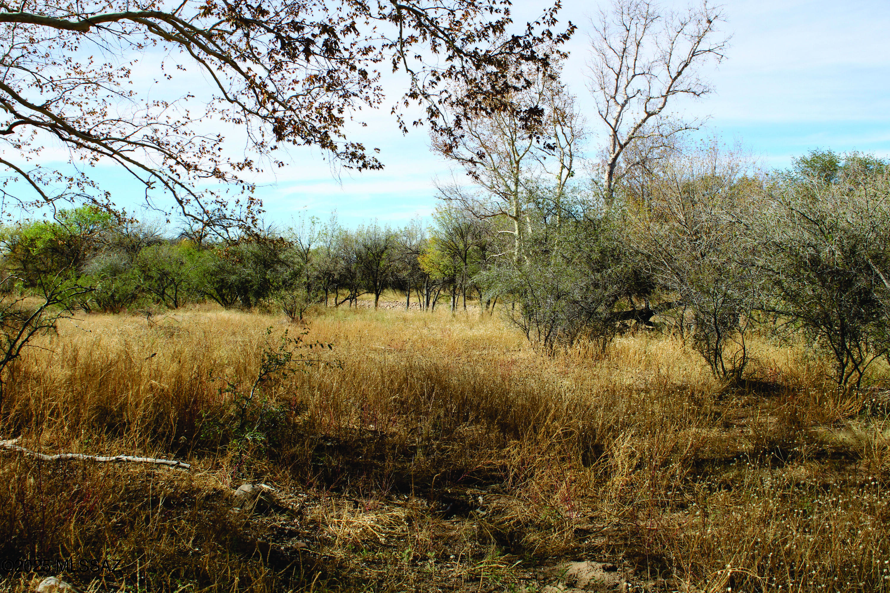 10-acres East Roadrunner Road, Unit D Pearce, AZ 85625 - Photo 24 of 24 a view of lake with green space