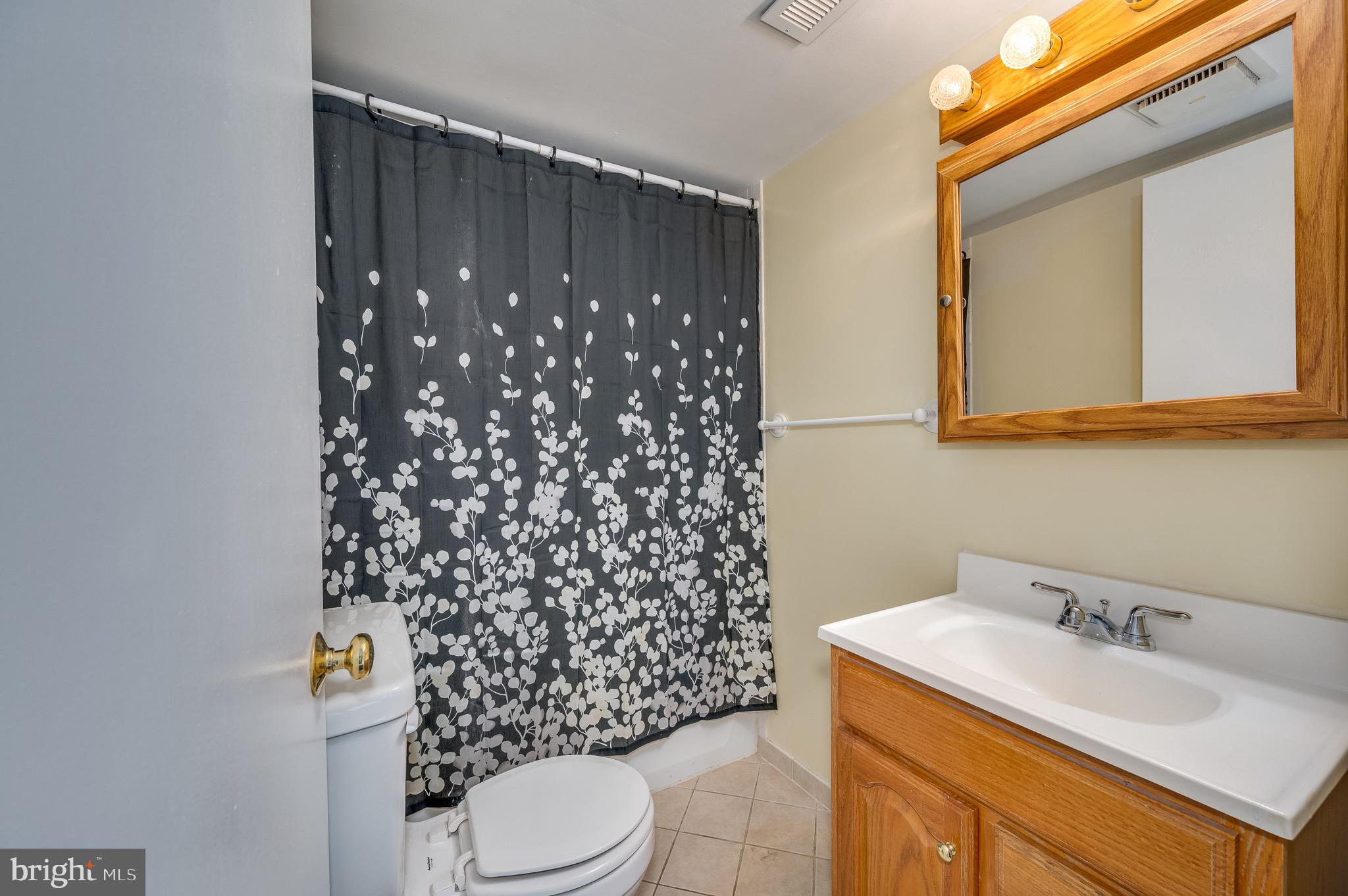 129 Longcroft Road Winchester, VA 22602 - Photo 20 of 37 Lower Level Full Bath