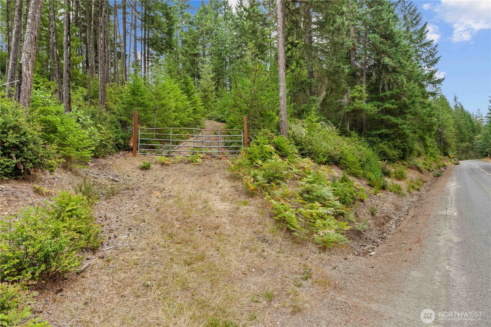 7131 Northeast Tahuya Blacksmith Road Belfair, WA 98528 - Photo 23 of 33 a view of a yard with plants and large trees