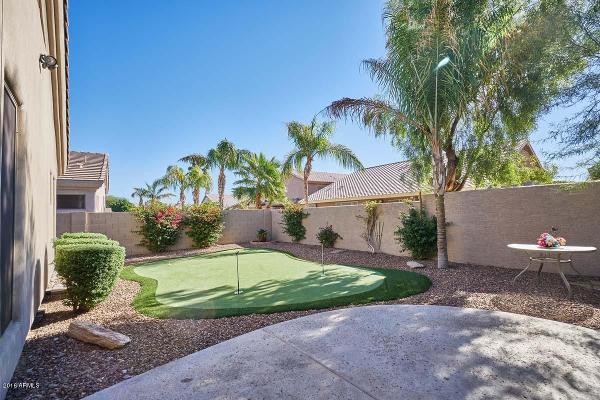 3135 East Amber Ridge Way Phoenix, AZ 85048 - Photo 28 of 41 Backyard