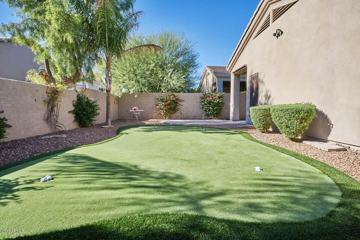 3135 East Amber Ridge Way Phoenix, AZ 85048 - Photo 29 of 41 Backyard3
