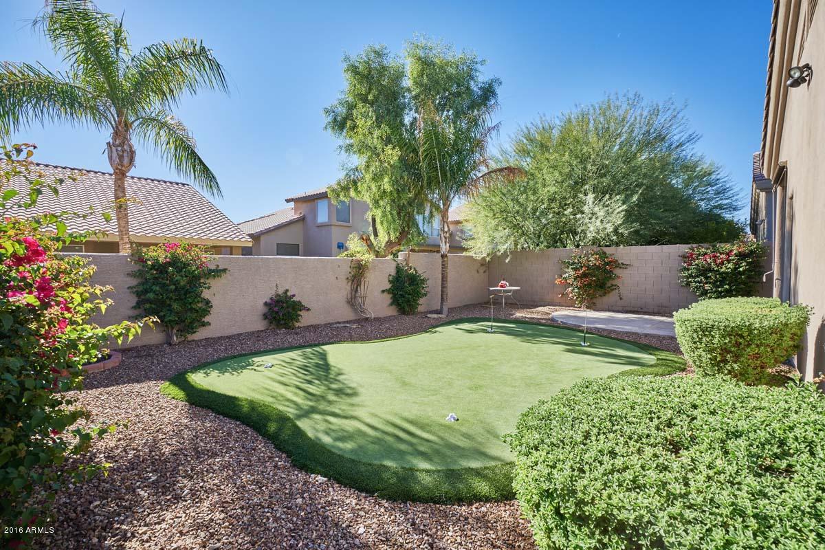 3135 East Amber Ridge Way Phoenix, AZ 85048 - Photo 3 of 41 Backyard2
