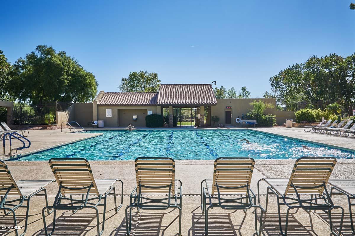3135 East Amber Ridge Way Phoenix, AZ 85048 - Photo 39 of 41 Mountain Park Ranch-Pool