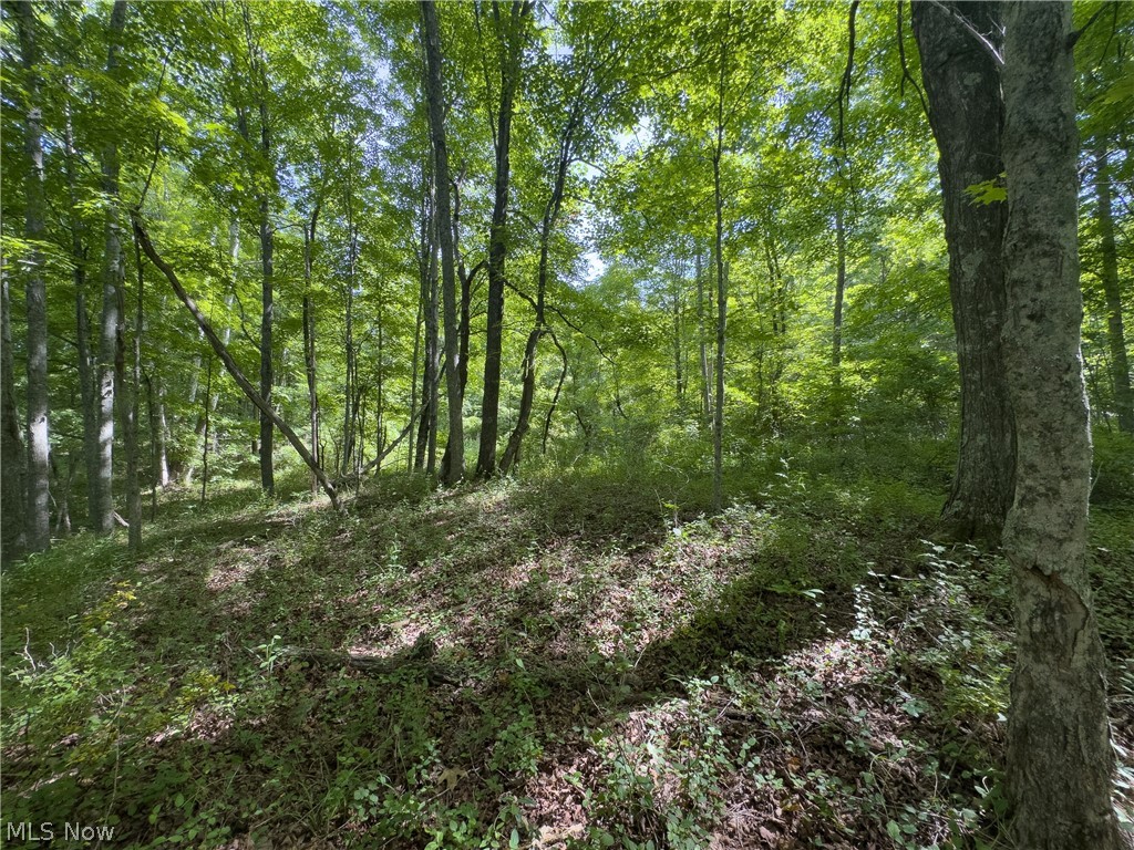 5 Jake Road Patriot, OH 45658 - Photo 12 of 17