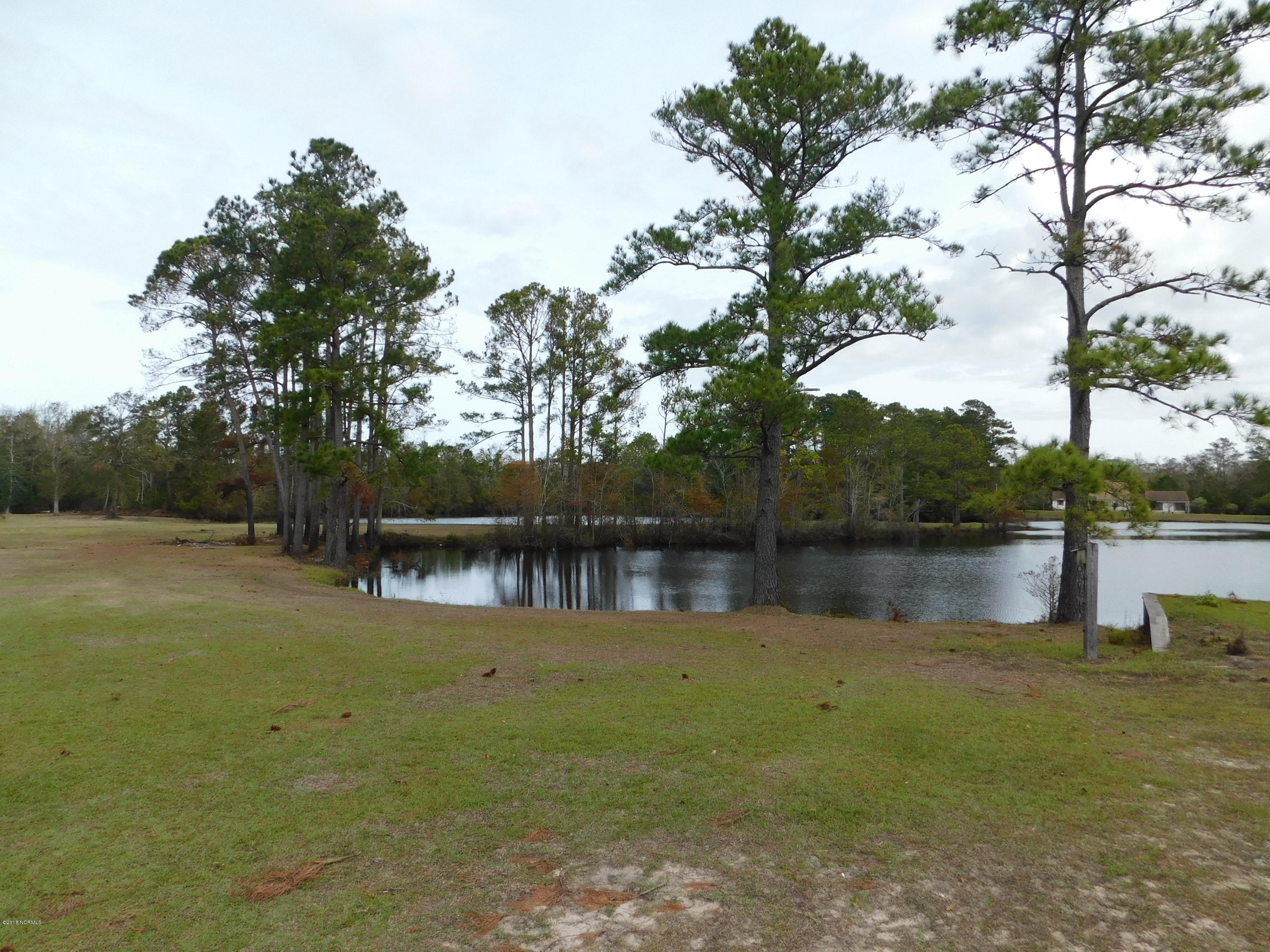 672 Roberts Road Newport, NC 28570 - Photo 8 of 36 Pond front