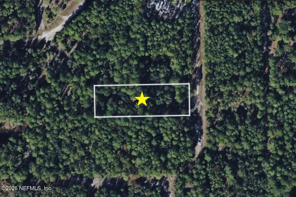 $15,500 | 127 Harwood Street, Georgetown, FL 32139