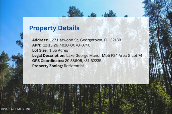 $15,500 | 127 Harwood Street, Georgetown, FL 32139