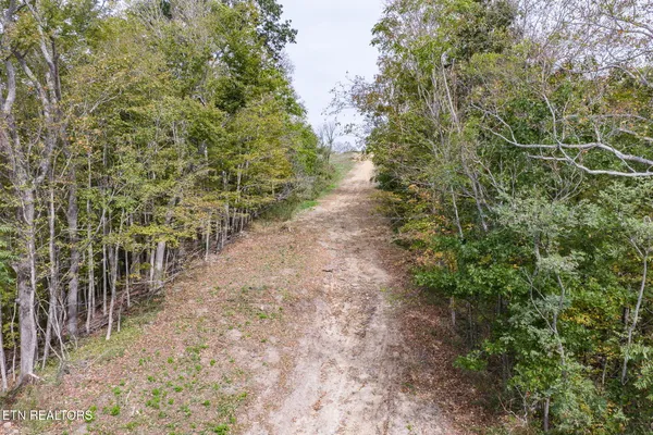$724,299 | 7.4-ac Helm Hollow Road, Silver Point, TN 38582